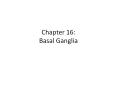 Chapter 16: Basal Ganglia PowerPoint PPT Presentation