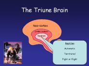 The Triune Brain
