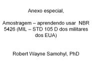 Anexo especial,  Amostragem 