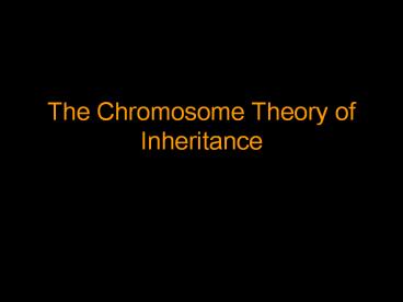 The Chromosome Theory of Inheritance