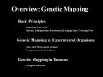 Overview: Genetic Mapping PowerPoint PPT Presentation