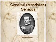 Classical (Mendelian) Genetics