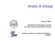 Analisi di linkage