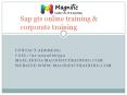 sap gts online training & corporate training PowerPoint PPT Presentation
