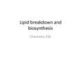 Lipid breakdown and biosynthesis PowerPoint PPT Presentation