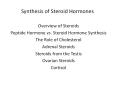 Synthesis of Steroid Hormones PowerPoint PPT Presentation
