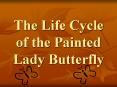 The Life Cycle of the Painted Lady Butterfly PowerPoint PPT Presentation