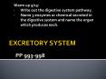 EXCRETORY SYSTEM PowerPoint PPT Presentation