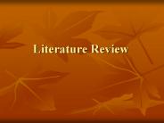 Literature Review