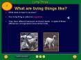 What are living things like? PowerPoint PPT Presentation