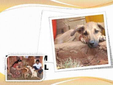 presentation player overlay