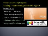 Sap Testing online classes and training and certification