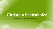 Christian Schirnhofer- Reliable Business Analyst