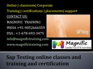 Sap Testing online classes and training and certification