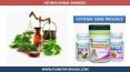 Natural Ayurvedic Treatment For Asthma - Asthma Herbal Remedies
