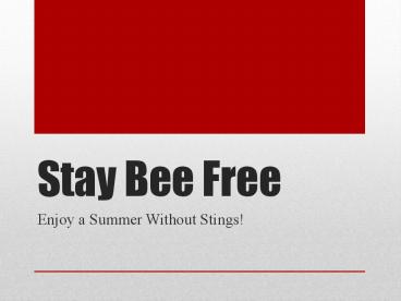 Stay Bee Free – Enjoy a Summer Without Stings!