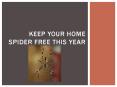 Keeping Your Home Spider Free This Year PowerPoint PPT Presentation