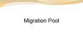 Free online assessment-Migration Pool PowerPoint PPT Presentation