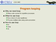 Program looping