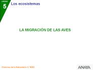 Diapositiva 1