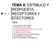 TEMA 6: EST