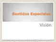 Sentidos Especiales PowerPoint PPT Presentation