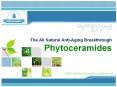 Phytoceramides PowerPoint PPT Presentation