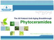 Phytoceramides