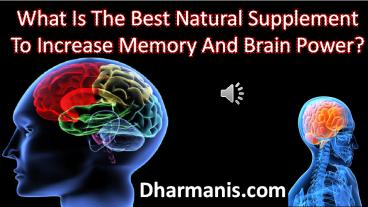 What Is The Best Natural Supplement To Increase Memory And Brain Power ...