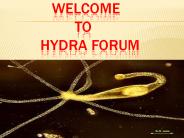 Hydra forum (1)