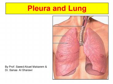 Pleura and Lung