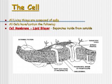 The Cell