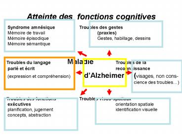 Atteinte des fonctions cognitives