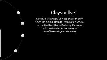 Veterinarian Lexington Ky