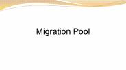 Migration Pool-Online visa assessment services