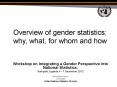 Overview of gender statistics: why, what, for whom and how PowerPoint PPT Presentation