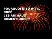 POURQUOI DIEU A-T-IL CR