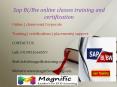 Sap Bi-bw online classes training and certification PowerPoint PPT Presentation