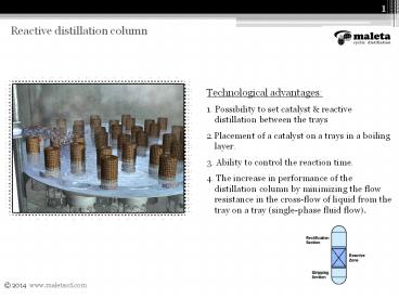 Reactive Distillation Column