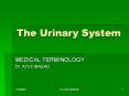 The Urinary System PowerPoint PPT Presentation