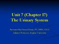 Unit 7 (Chapter 17) The Urinary System PowerPoint PPT Presentation