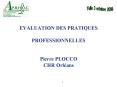 EVALUATION DES PRATIQUES  PROFESSIONNELLES  Pierre PLOCCO CHR Orl PowerPoint PPT Presentation