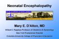 Neonatal Encephalopathy PowerPoint PPT Presentation
