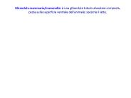Diapositiva 1