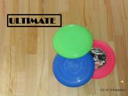 Presentación Frisbee