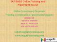 SAP BASIS Online Training and Placement in USA PowerPoint PPT Presentation
