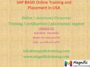 SAP BASIS Online Training and Placement in USA