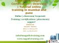 Solution Manager - Certification  Overview  Tutorial online training in mumbai and pune PowerPoint PPT Presentation