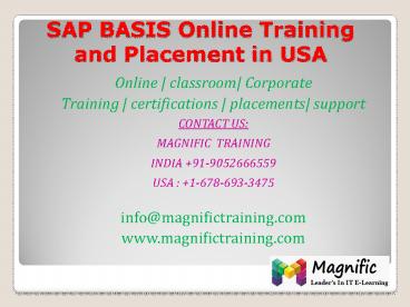SAP BASIS Online Training and Placement in USA