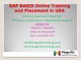 SAP BASIS Online Training and Placement in USA PowerPoint PPT Presentation